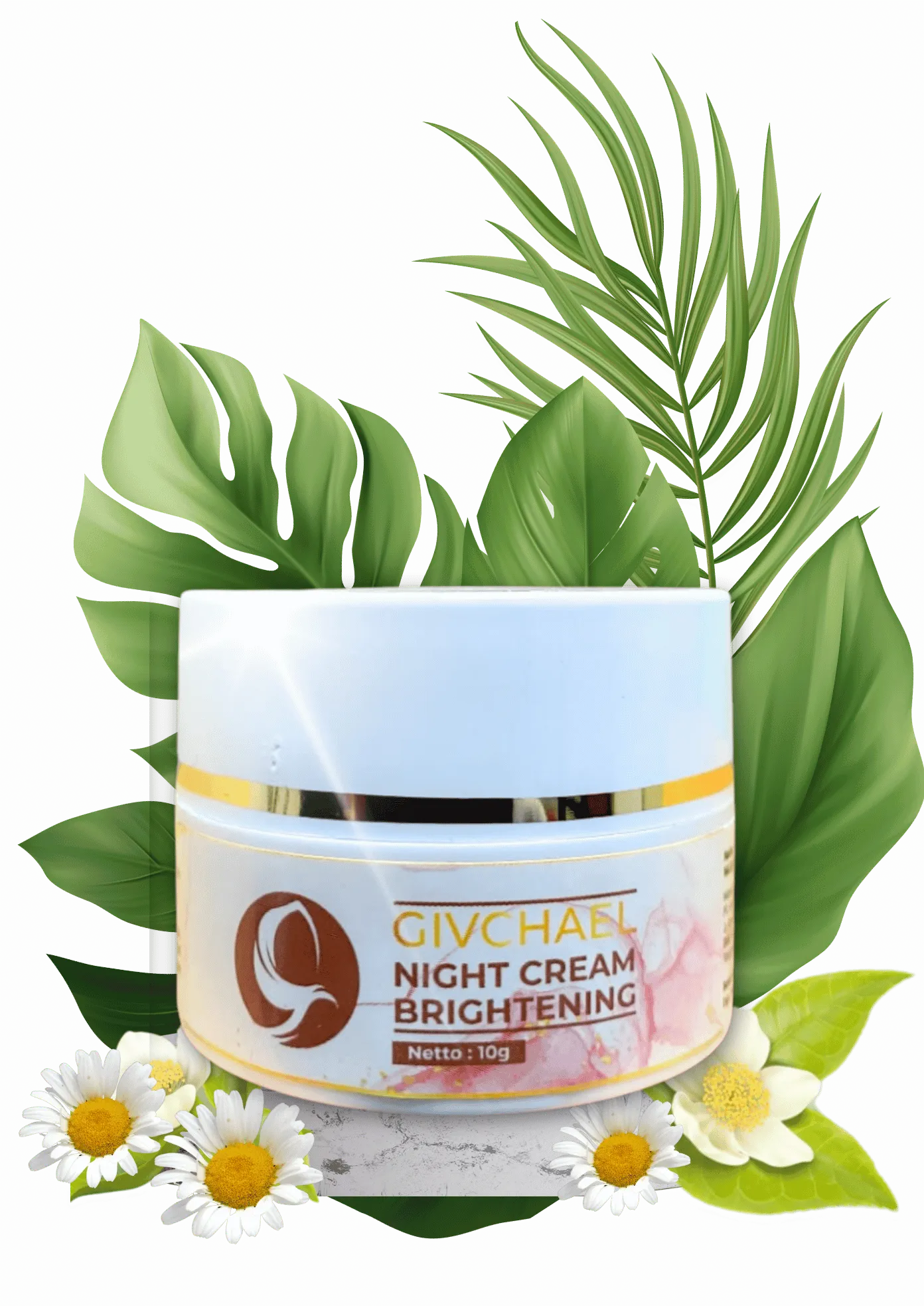 Night Cream Brightening - skincare tanpa merkuri - Givchael