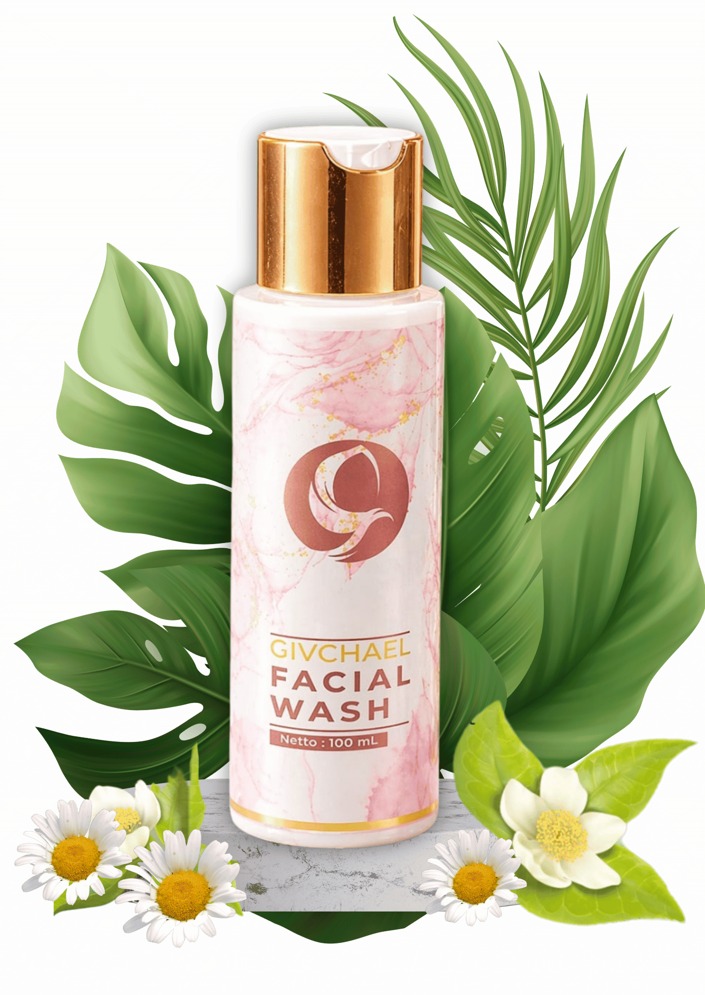 Facial Wash - skincare tanpa merkuri - Givchael